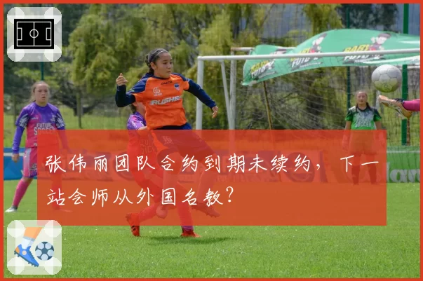 张伟丽团队合约到期未续约,下一站会师从外国名教?