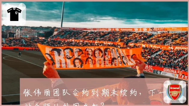 张伟丽团队合约到期未续约,下一站会师从外国名教?